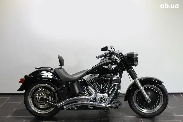 Harley-Davidson FLSTF Image 1